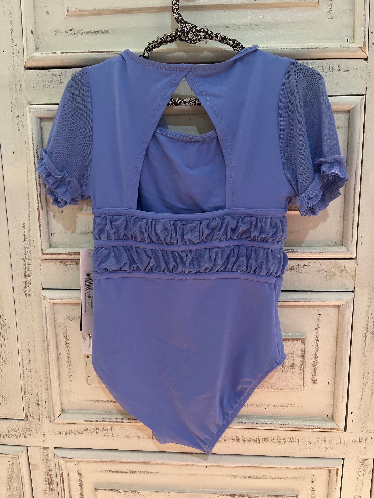 Danz N Motion Sheer with Overlay Leotard